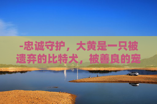 -忠诚守护，大黄是一只被遗弃的比特犬，被善良的宠物店老板李伟收留，成为店里的守护者和吉祥物，与李伟建立了深厚的感情。比特犬大黄儿英镑