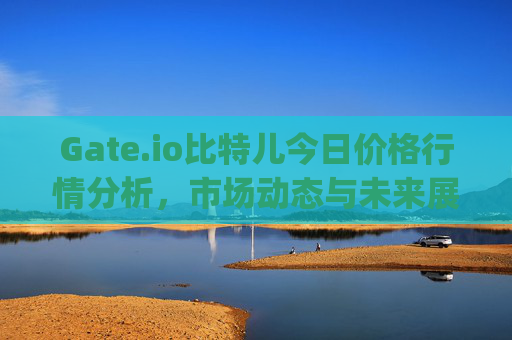 Gate.io比特儿今日价格行情分析，市场动态与未来展望 gateio比特儿价格今日行情