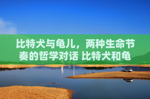 比特犬与龟儿，两种生命节奏的哲学对话 比特犬和龟儿