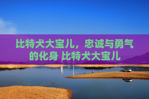 比特犬大宝儿，忠诚与勇气的化身 比特犬大宝儿