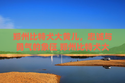 郑州比特犬大黄儿，忠诚与勇气的象征 郑州比特犬大黄儿