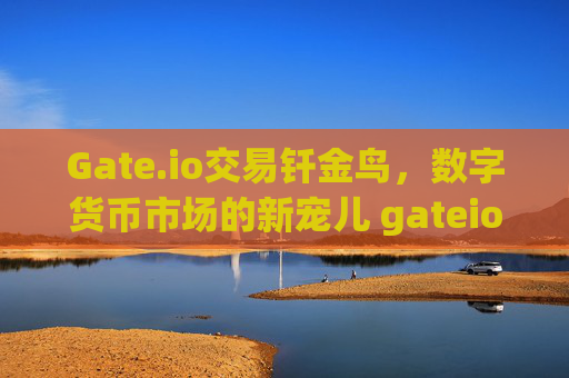 Gate.io交易钎金鸟，数字货币市场的新宠儿 gateio交易钎金鸟