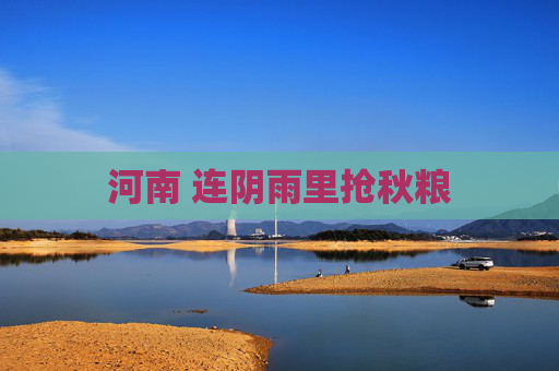 河南 连阴雨里抢秋粮