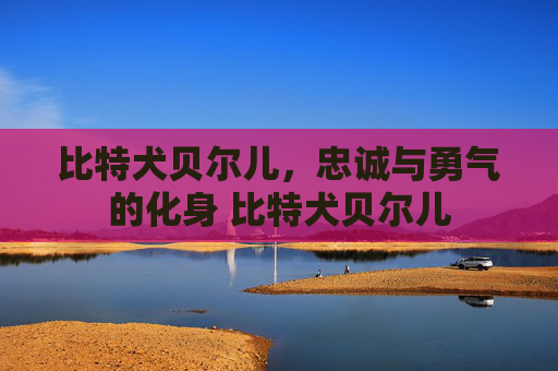 比特犬贝尔儿，忠诚与勇气的化身 比特犬贝尔儿