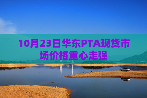 10月23日华东PTA现货市场价格重心走强
