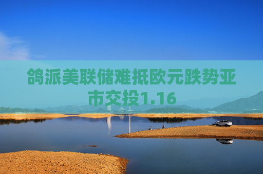 鸽派美联储难抵欧元跌势亚市交投1.16