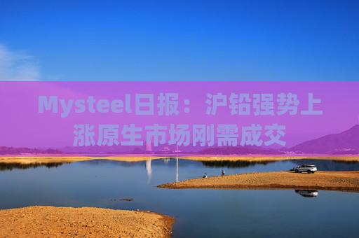 Mysteel日报:沪铅强势上涨原生市场刚需成交