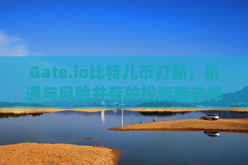 Gate.io比特儿币打新，机遇与风险并存的投资新选择 gateio比特儿币打新