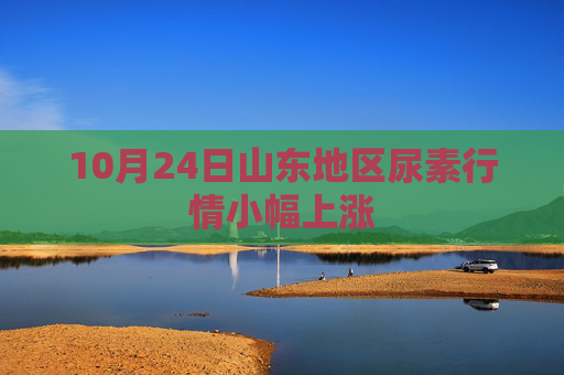 10月24日山东地区尿素行情小幅上涨