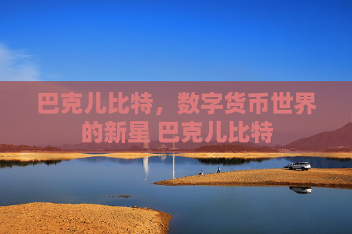 巴克儿比特，数字货币世界的新星 巴克儿比特