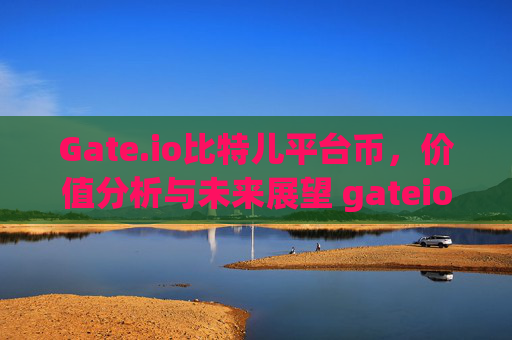 Gate.io比特儿平台币，价值分析与未来展望 gateio比特儿平台币