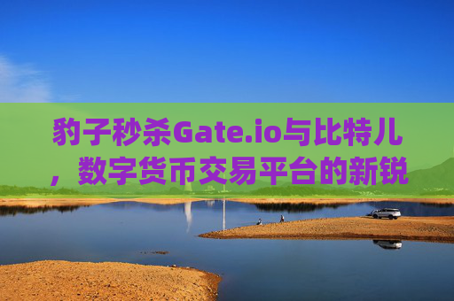 豹子秒杀Gate.io与比特儿，数字货币交易平台的新锐挑战者 豹子秒杀gateio比特儿