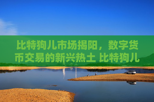 比特狗儿市场揭阳，数字货币交易的新兴热土 比特狗儿市场揭阳