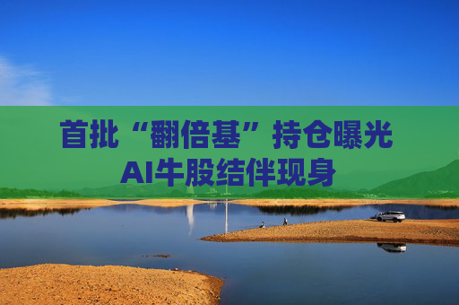 首批“翻倍基”持仓曝光 AI牛股结伴现身