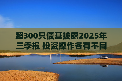 超300只债基披露2025年三季报 投资操作各有不同