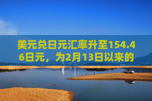 美元兑日元汇率升至154.46日元，为2月13日以来的最高水平