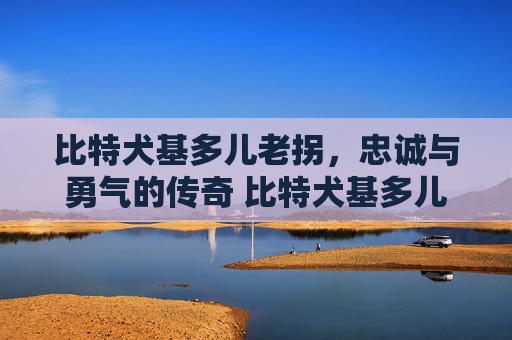比特犬基多儿老拐，忠诚与勇气的传奇 比特犬基多儿老拐