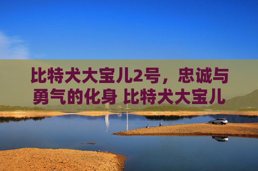 比特犬大宝儿2号，忠诚与勇气的化身 比特犬大宝儿2号