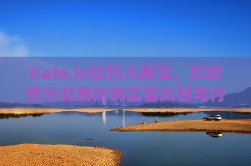Gate.io比特儿被查，加密货币交易所的监管风暴与行业影响 gateio比特儿被查