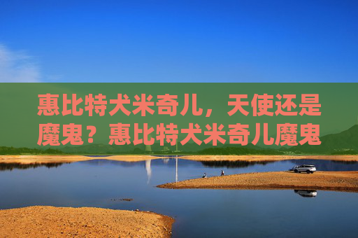 惠比特犬米奇儿，天使还是魔鬼？惠比特犬米奇儿魔鬼