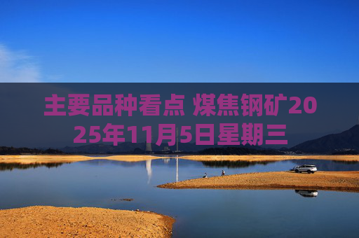 主要品种看点 煤焦钢矿2025年11月5日星期三