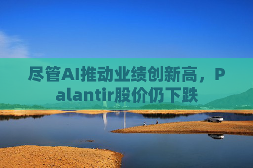 尽管AI推动业绩创新高,Palantir股价仍下跌