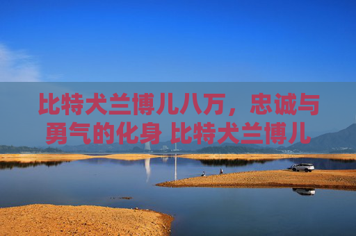 比特犬兰博儿八万，忠诚与勇气的化身 比特犬兰博儿八万