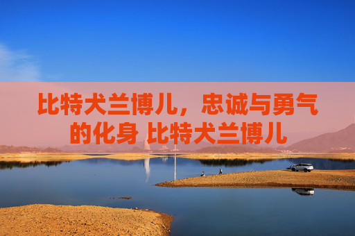 比特犬兰博儿，忠诚与勇气的化身 比特犬兰博儿
