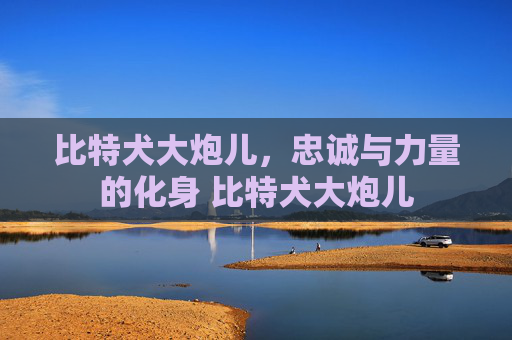 比特犬大炮儿，忠诚与力量的化身 比特犬大炮儿