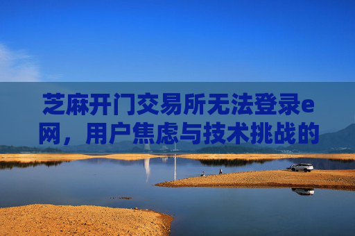 芝麻开门交易所无法登录e网，用户焦虑与技术挑战的双重考验