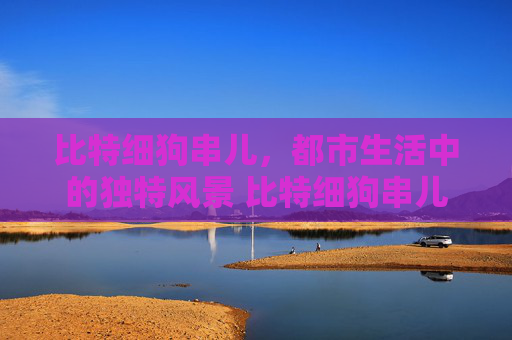 比特细狗串儿，都市生活中的独特风景 比特细狗串儿