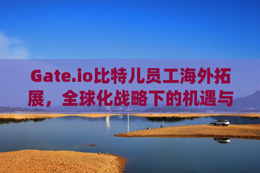 Gate.io比特儿员工海外拓展，全球化战略下的机遇与挑战 gateio比特儿 员工 国外