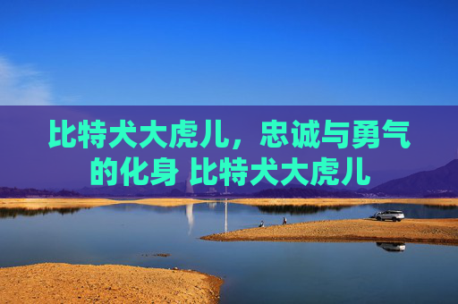 比特犬大虎儿，忠诚与勇气的化身 比特犬大虎儿