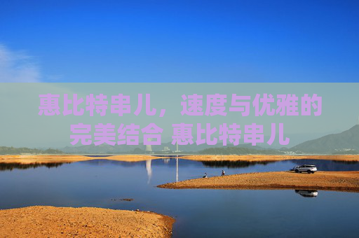 惠比特串儿，速度与优雅的完美结合 惠比特串儿