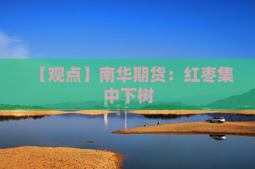 【观点】南华期货：红枣集中下树