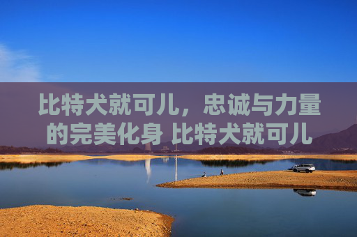 比特犬就可儿，忠诚与力量的完美化身 比特犬就可儿