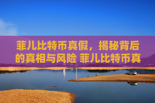 菲儿比特币真假，揭秘背后的真相与风险 菲儿比特币真假