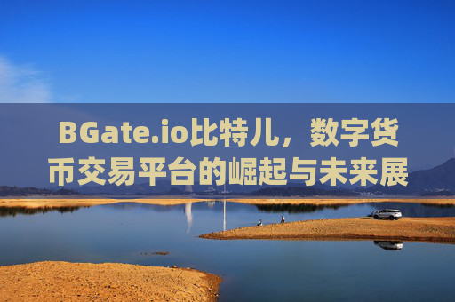 BGate.io比特儿，数字货币交易平台的崛起与未来展望 bgateio比特儿