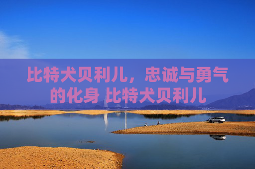比特犬贝利儿，忠诚与勇气的化身 比特犬贝利儿