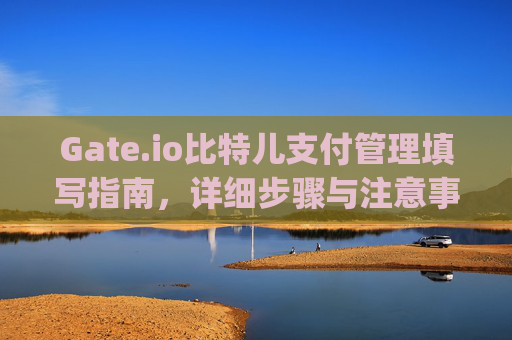 Gate.io比特儿支付管理填写指南，详细步骤与注意事项 gateio比特儿支付管理怎么填