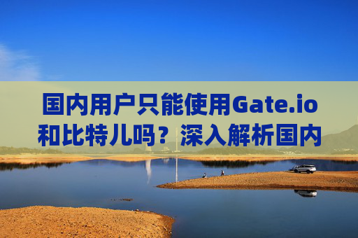 国内用户只能使用Gate.io和比特儿吗？深入解析国内加密货币交易所选择 国内只能上gateio比特儿吗