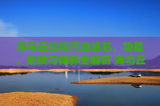 海马丘比特汽油滤芯，功能、更换与保养全解析 海马丘比特汽油滤芯儿