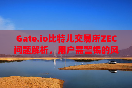 Gate.io比特儿交易所ZEC问题解析，用户需警惕的风险与解决方案 gateio比特儿 zec有问题