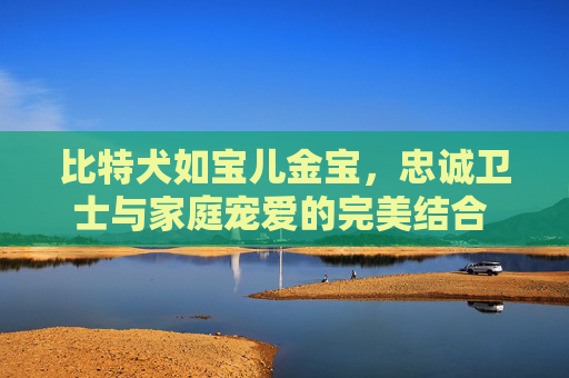 比特犬如宝儿金宝，忠诚卫士与家庭宠爱的完美结合 比特犬如宝儿金宝
