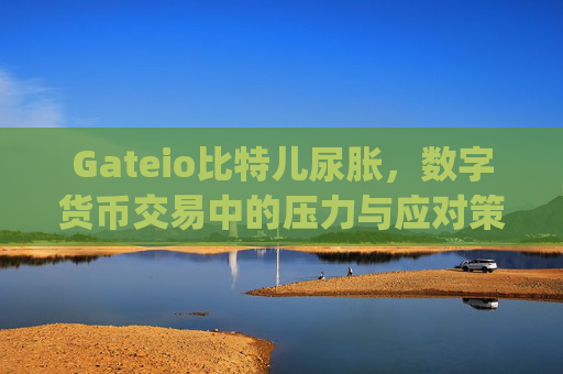 Gateio比特儿尿胀，数字货币交易中的压力与应对策略 gateio比特儿尿胀