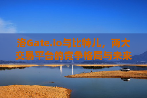 洛Gate.io与比特儿，两大交易平台的竞争格局与未来展望 洛gateio比特儿
