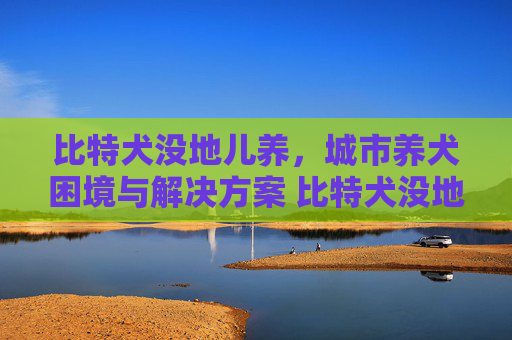 比特犬没地儿养，城市养犬困境与解决方案 比特犬没地儿养