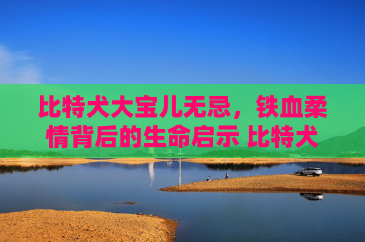 比特犬大宝儿无忌，铁血柔情背后的生命启示 比特犬大宝儿无忌
