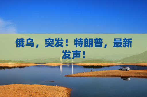 俄乌，突发！特朗普，最新发声！