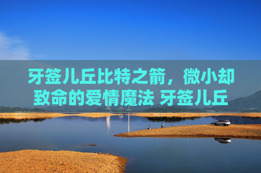 牙签儿丘比特之箭，微小却致命的爱情魔法 牙签儿丘比特之箭